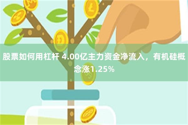 股票如何用杠杆 4.00亿主力资金净流入，有机硅概念涨1.25%