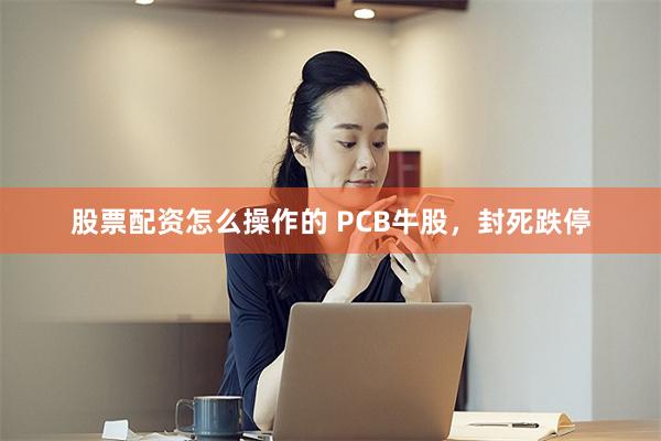 股票配资怎么操作的 PCB牛股，封死跌停