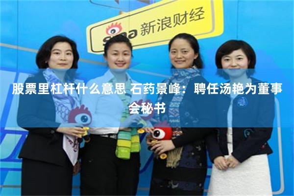 股票里杠杆什么意思 石药景峰：聘任汤艳为董事会秘书