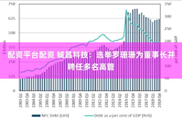 配资平台配资 铖昌科技:选举罗珊珊为董事长并聘任多名高管