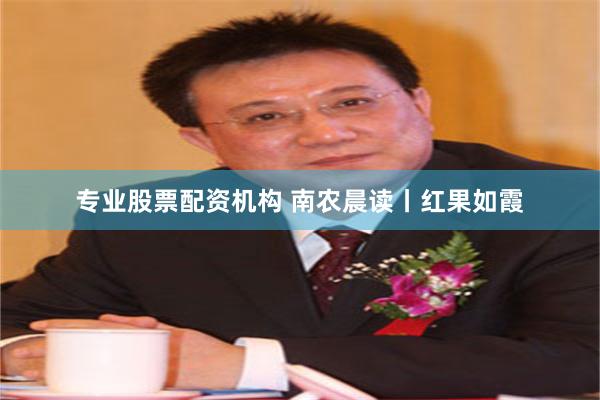 专业股票配资机构 南农晨读丨红果如霞