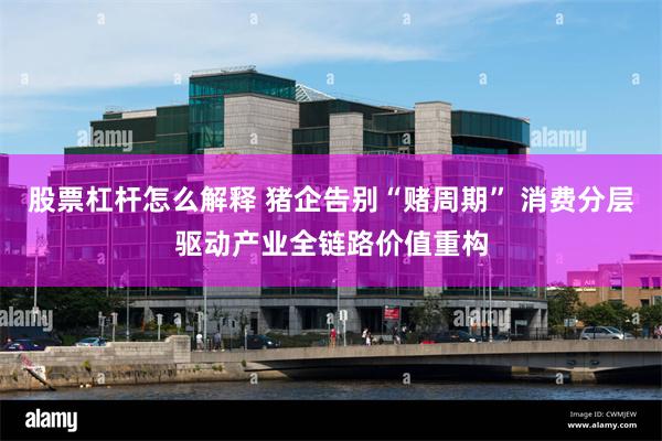 股票杠杆怎么解释 猪企告别“赌周期” 消费分层驱动产业全链路价值重构