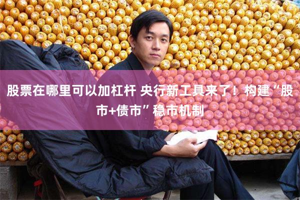 股票在哪里可以加杠杆 央行新工具来了！构建“股市+债市”稳市机制
